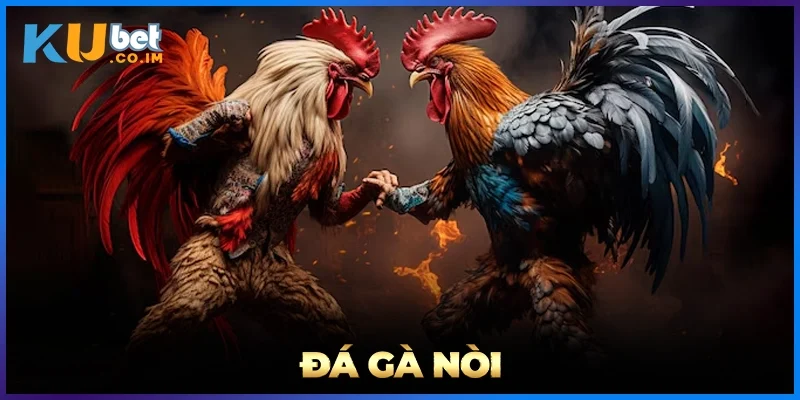 Đá Gà Nòi